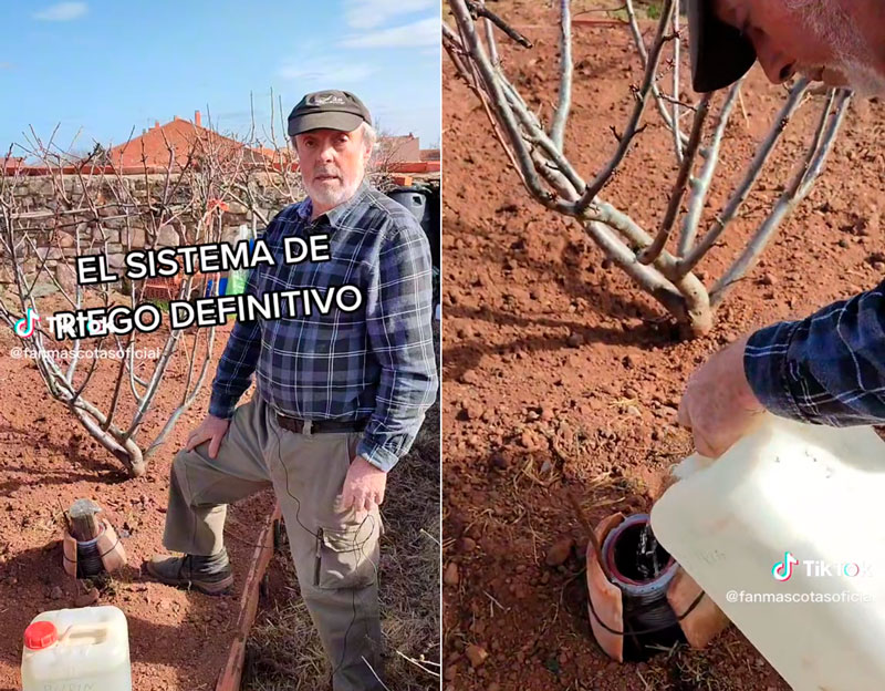 Un jardinero tiene un método para aprovechar el agua al máximo y que a sus plantas no les falte agua en tiempo de sequías