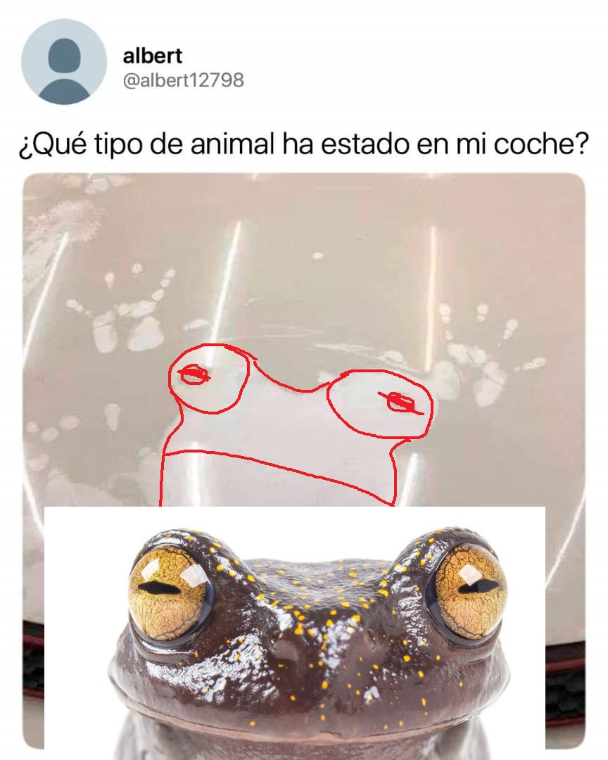 Ese Golf GTI ha visto cosas...