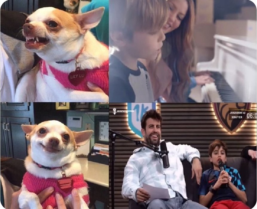 Piqué "en shock"...