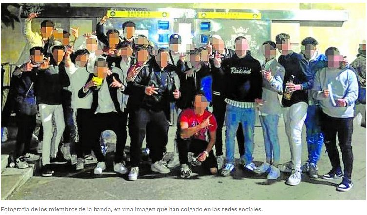 La Ertzaintza alerta de la irrupción en Vizcaya de LDS, una peligrosa banda juvenil