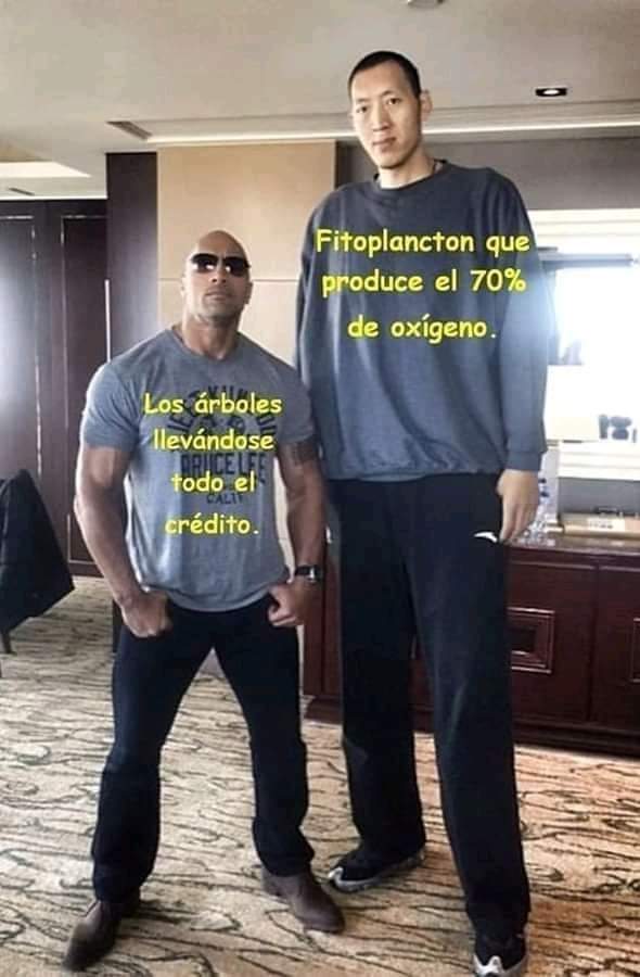 1,96 dice The Rock que mide...