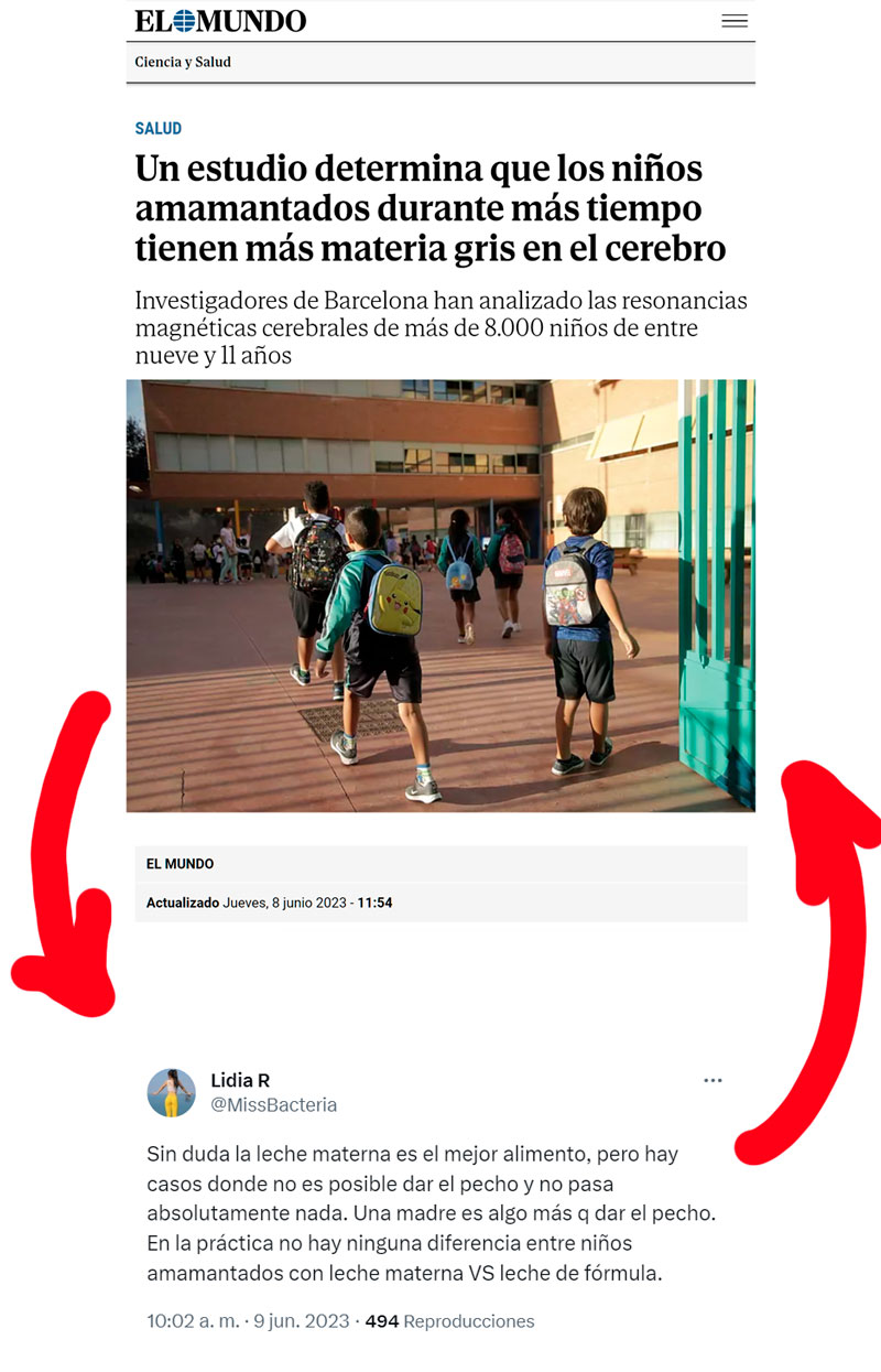 Más años de lactancia -> Más cerebro