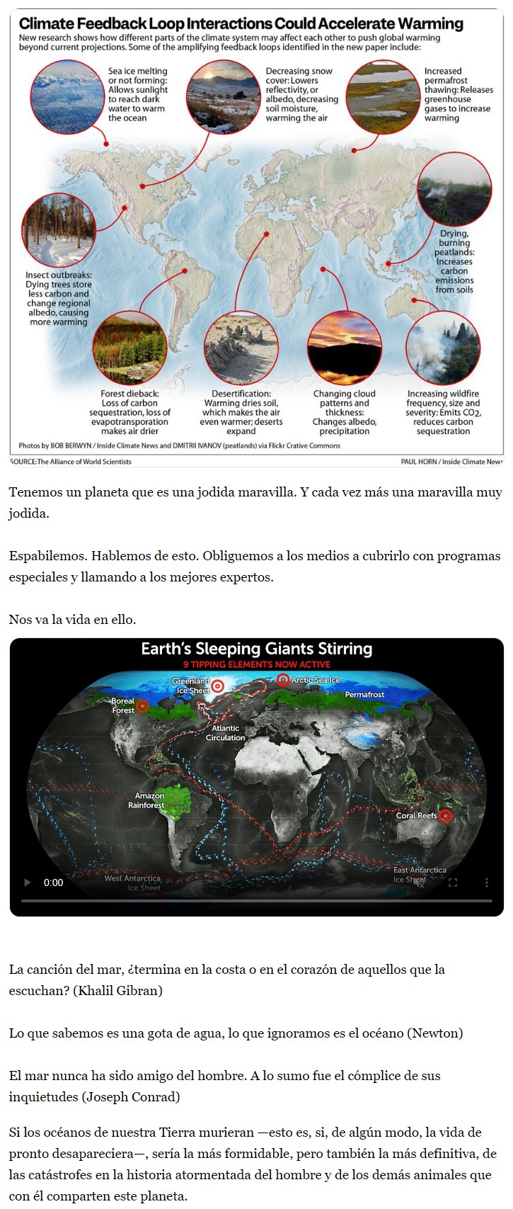 Una serie de anomalías muy locas se están dando a la vez en los océanos y tienen a una parte de la comunidad científica muy, pero que muy preocupada