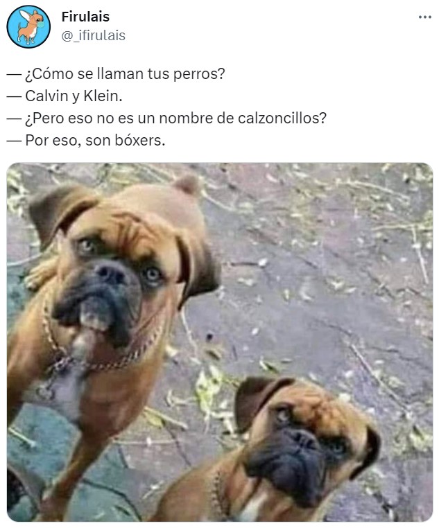 Los mejores nombres posibles.