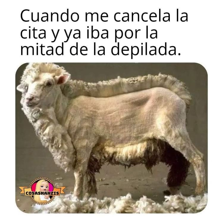 "No entiendo como ese chaval puede tener tanto éxito con las mujeres"