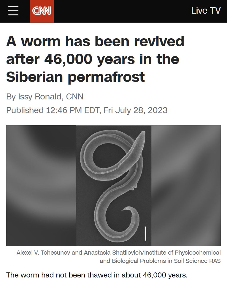 Un grupo de científicos ha resucitado un gusano que llevaba 46000 años congelado en el permafrost siberiano
