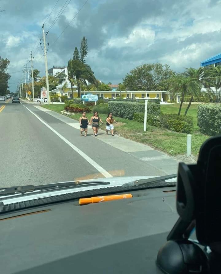 Deben estar yendo a dar un pequeño paseo...