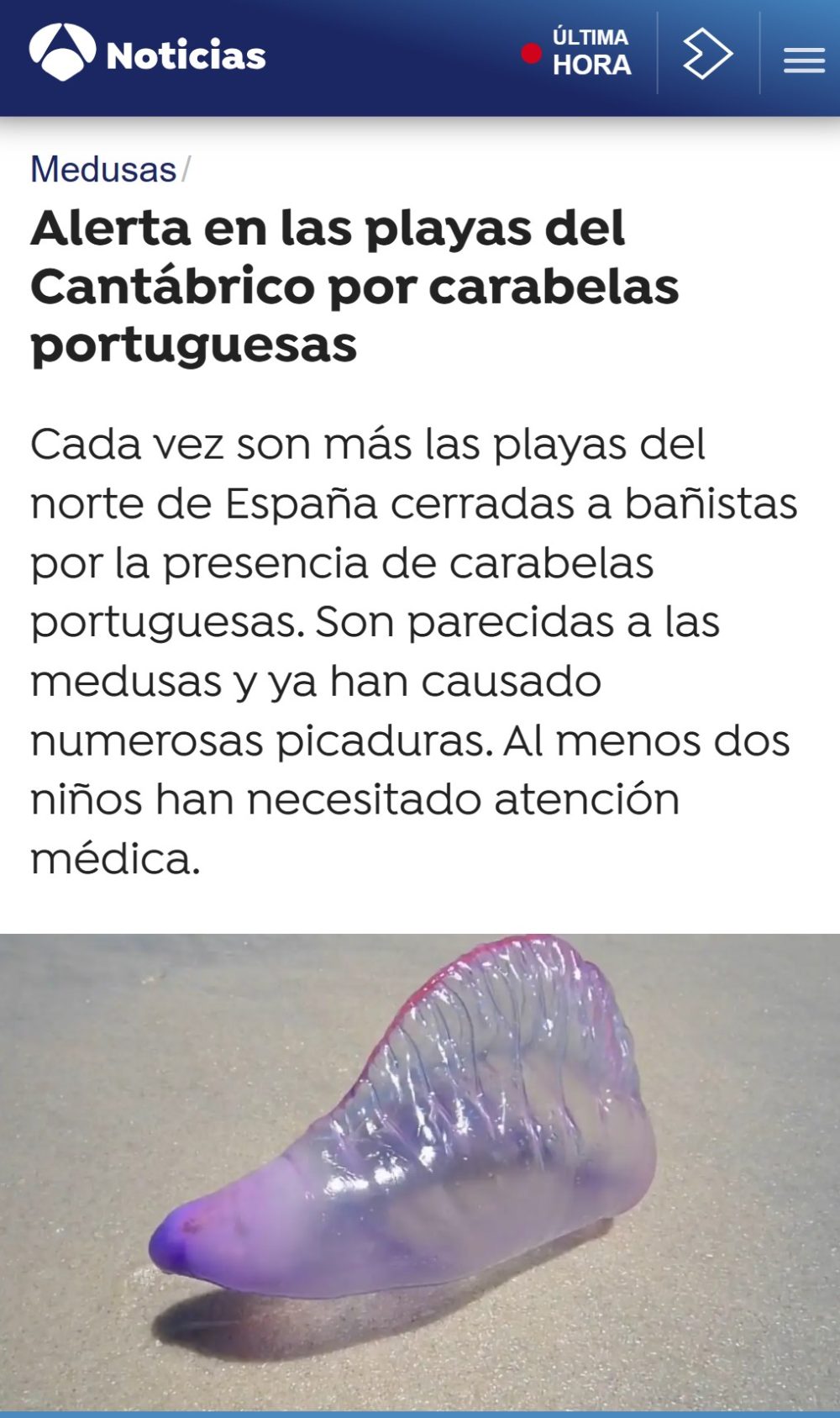 Cierran varias playas en el norte de España por la aparición de carabelas portuguesas