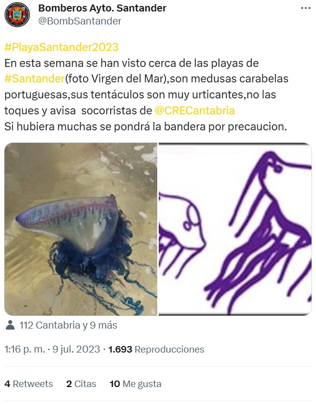 Cierran varias playas en el norte de España por la aparición de carabelas portuguesas