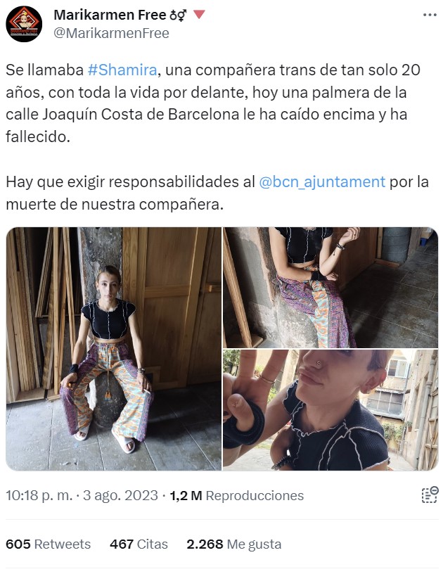 Muere al caerle una palmera encima en Barcelona