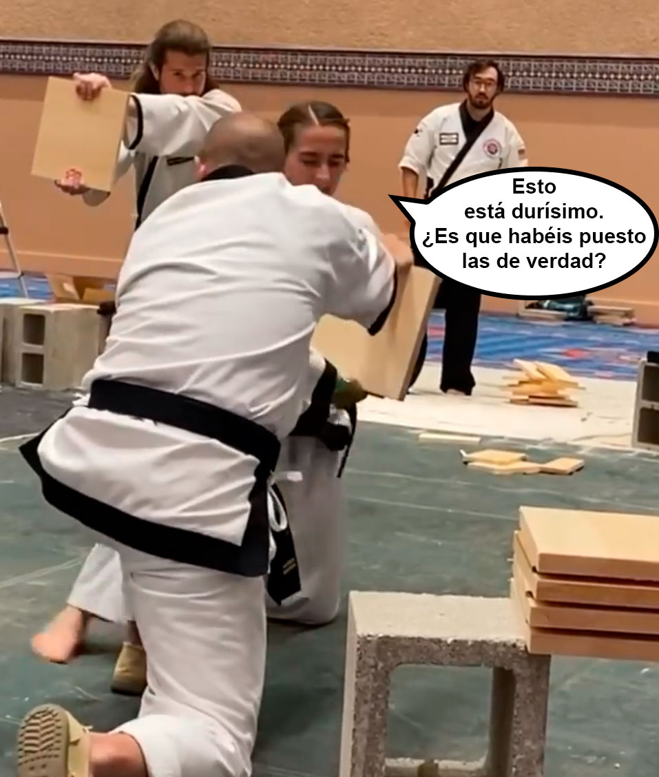 Espectacular exhibición de artes marciales