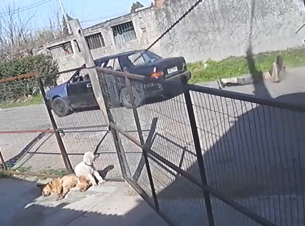 Uruguayo pilla a un ladrón robándole, lo ata a su coche y lo arrastra por la calle.