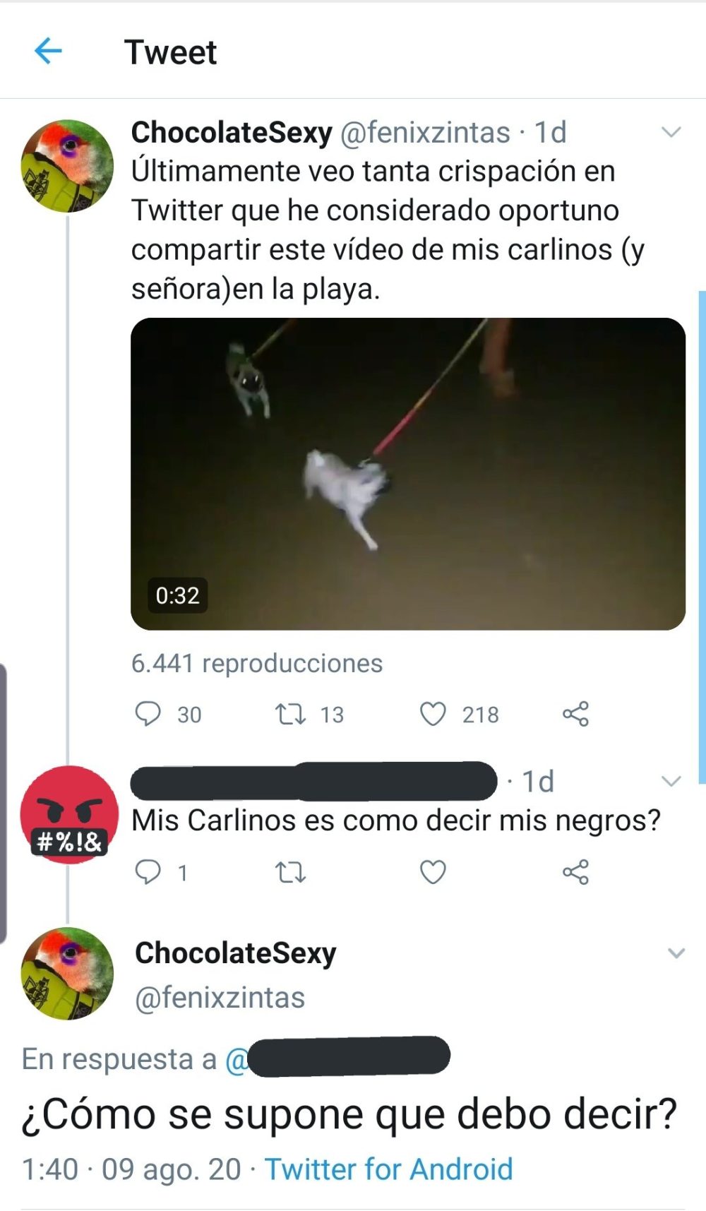 ¿Se podrá decir "mis perros" en 2030?