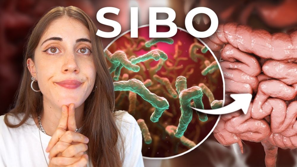 ¿Qué Es El SIBO? - Sobrecrecimiento Bacteriano Del Intestino Delgado