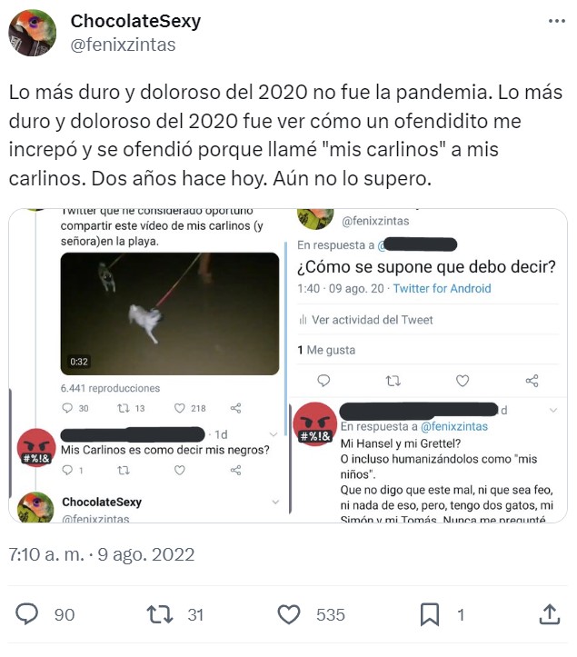 ¿Se podrá decir "mis perros" en 2030?