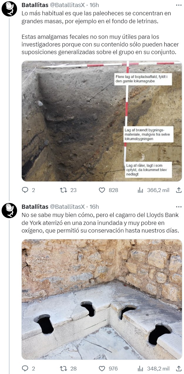 Este es el trozo de mierda más valioso e interesante del mundo. Vale literalmente su peso en oro.