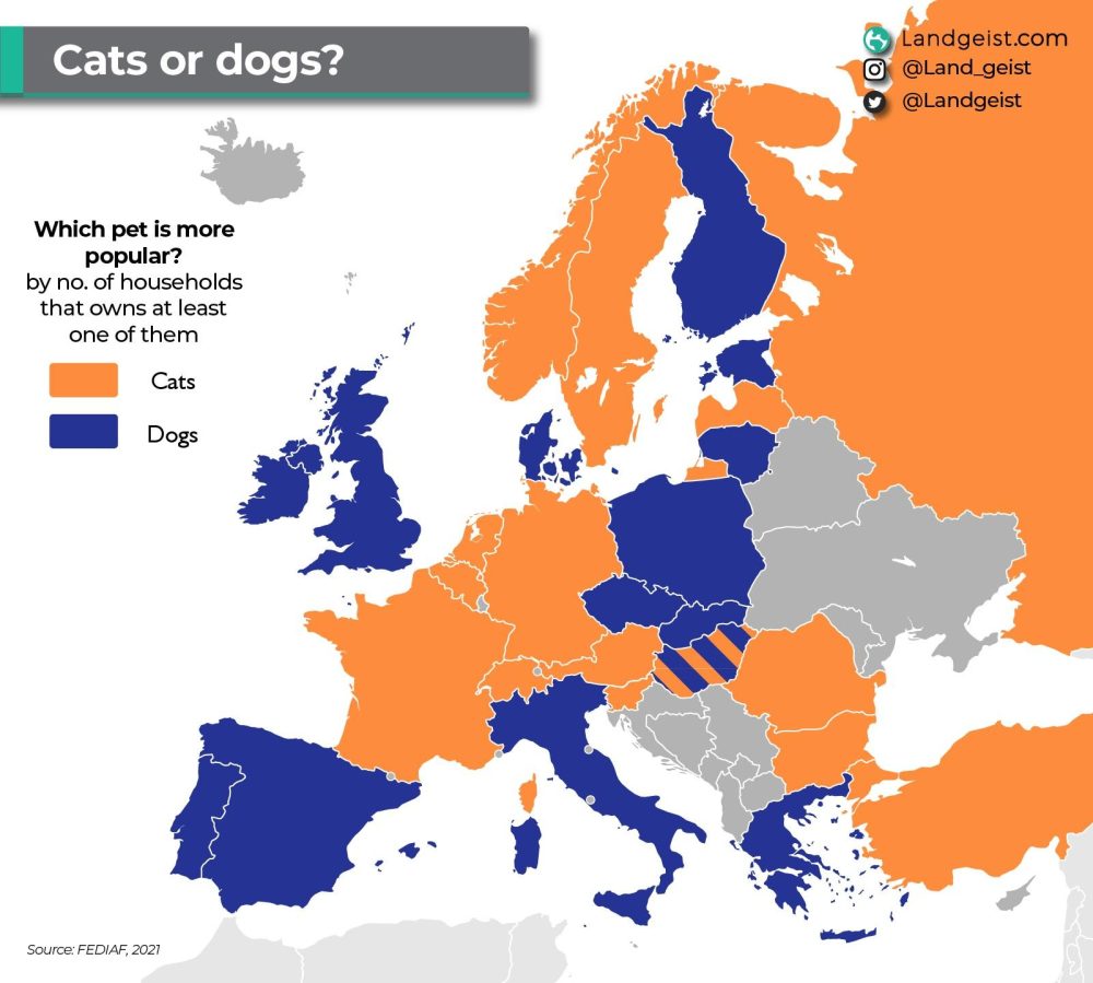 ¿Gato o Perro?: Éstas son las mascotas preferidas en cada país de Europa