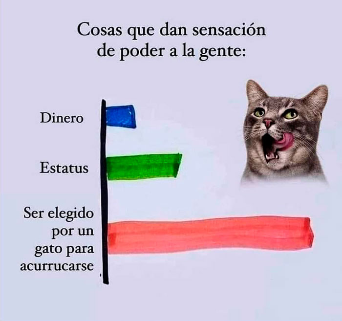 100%