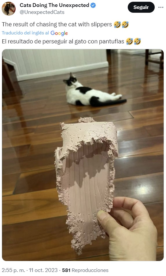 Cuando el gato te sale full cаbronías