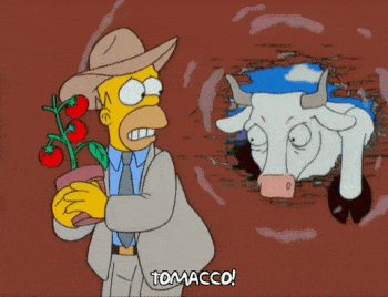 Los transgénicos finalmente han dado con el producto definitivo