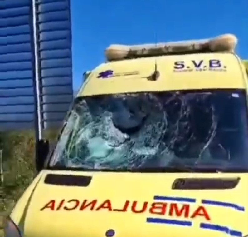 Un buitre rompe y atraviesa la luna de una ambulancia que circulaba por una autovía en Navarra.
