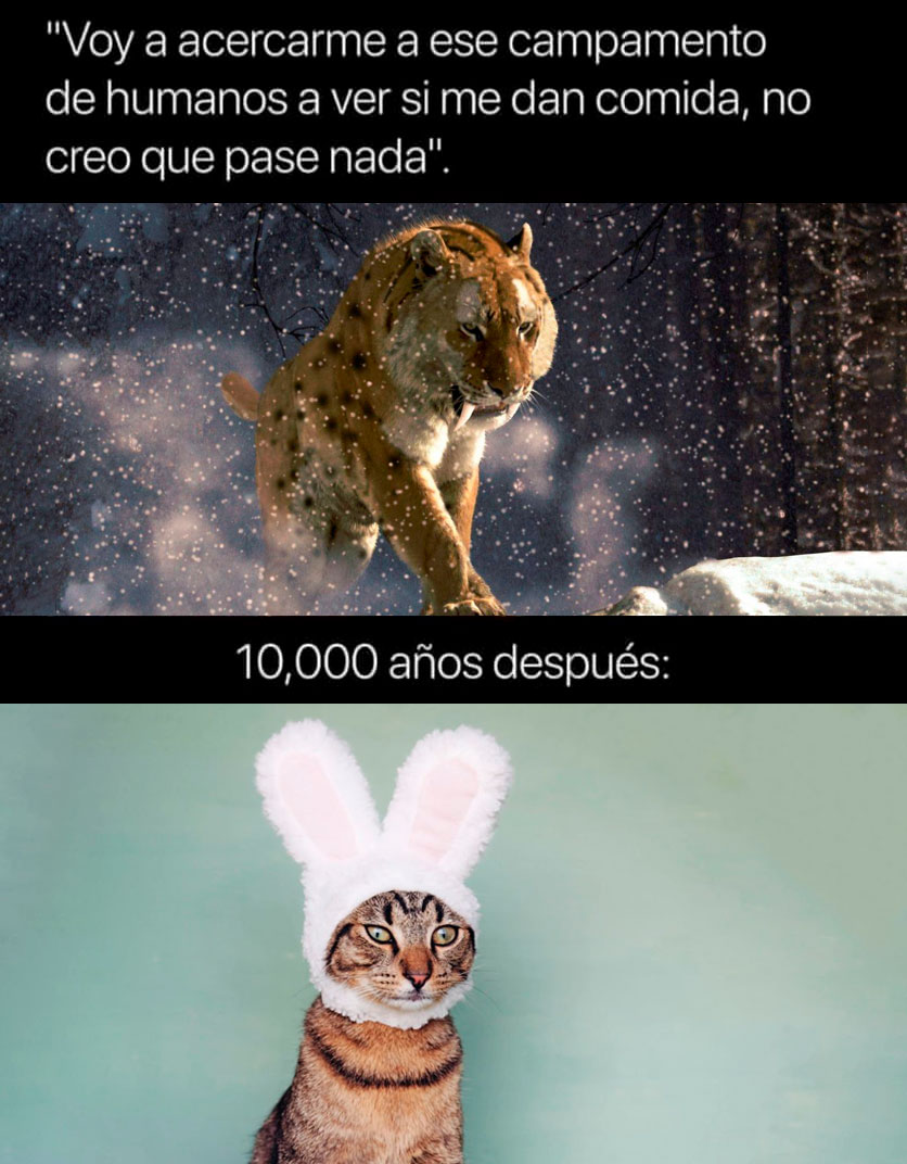 Efecto mariposa