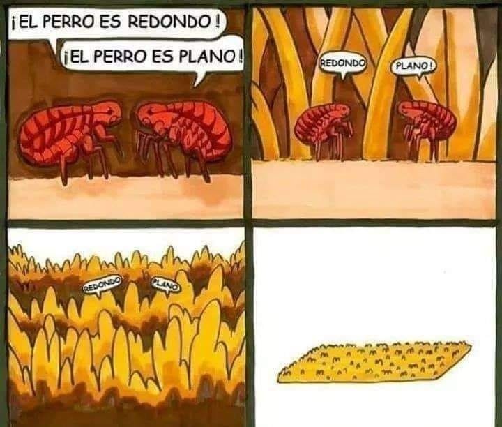 Certidumbres relativas