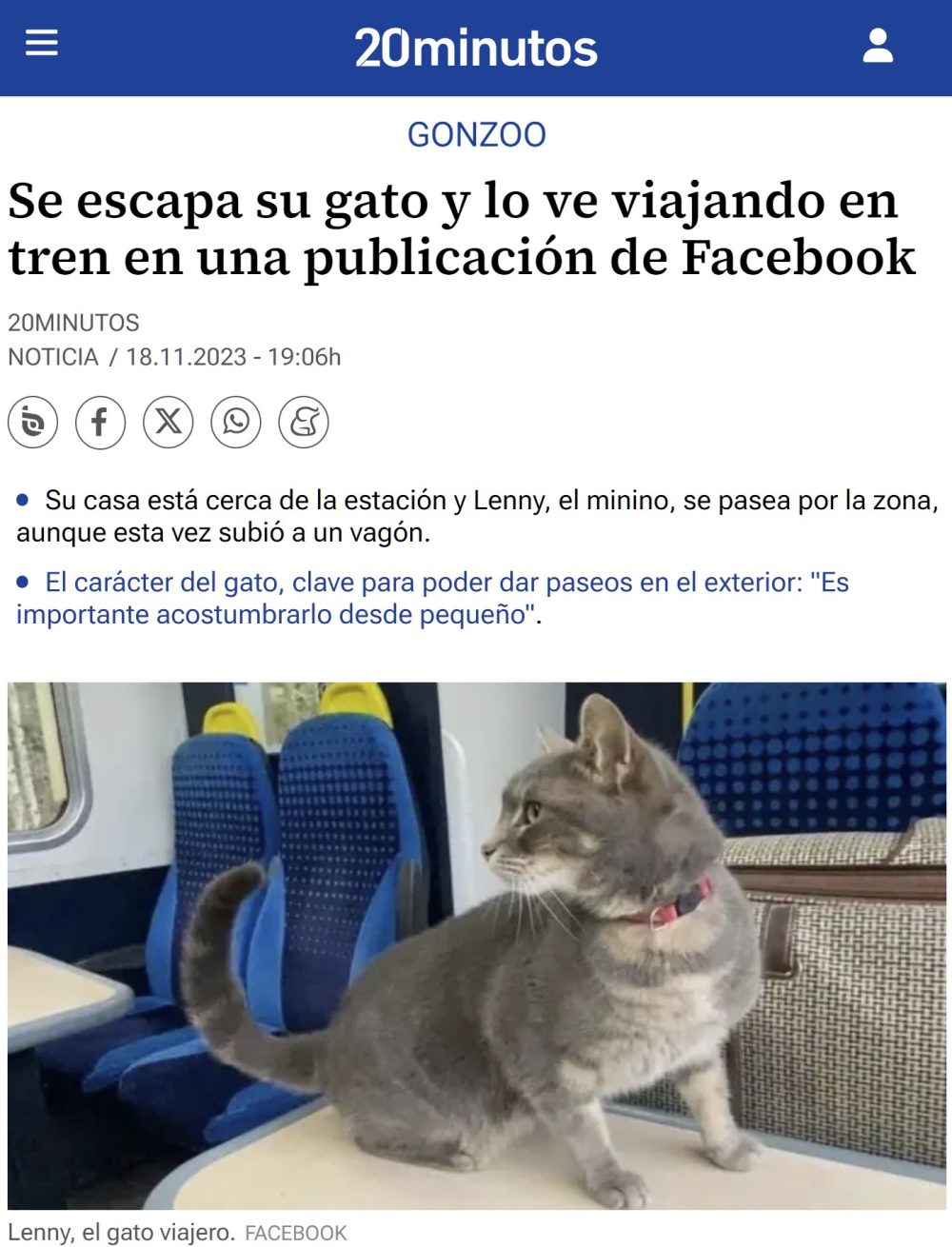 Un gato se escapa y su dueño lo ve viajando en tren en una publicación de Facebook