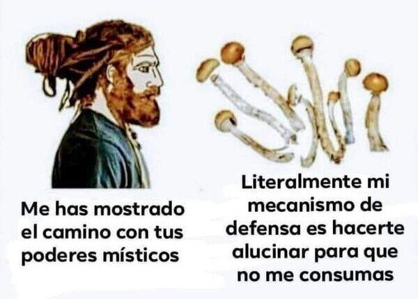 No hay mal que por bien no venga...