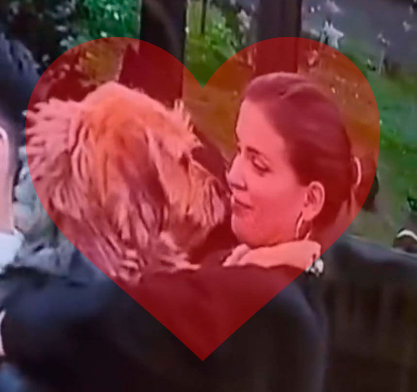 Ya sabéis la pregunta...