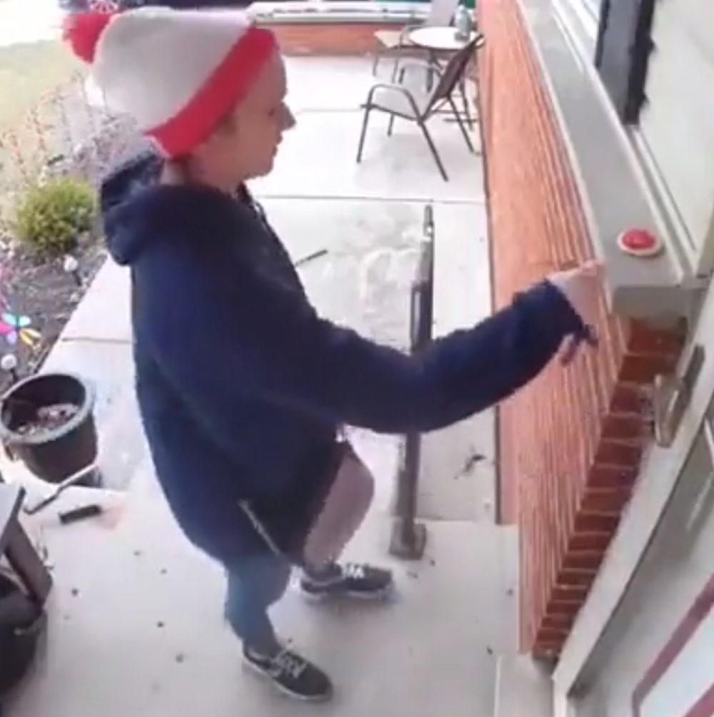 Esta mujer siempre le daba de comer a esta ardilla y la ardilla le devolvió el favor dejándole una galleta :D