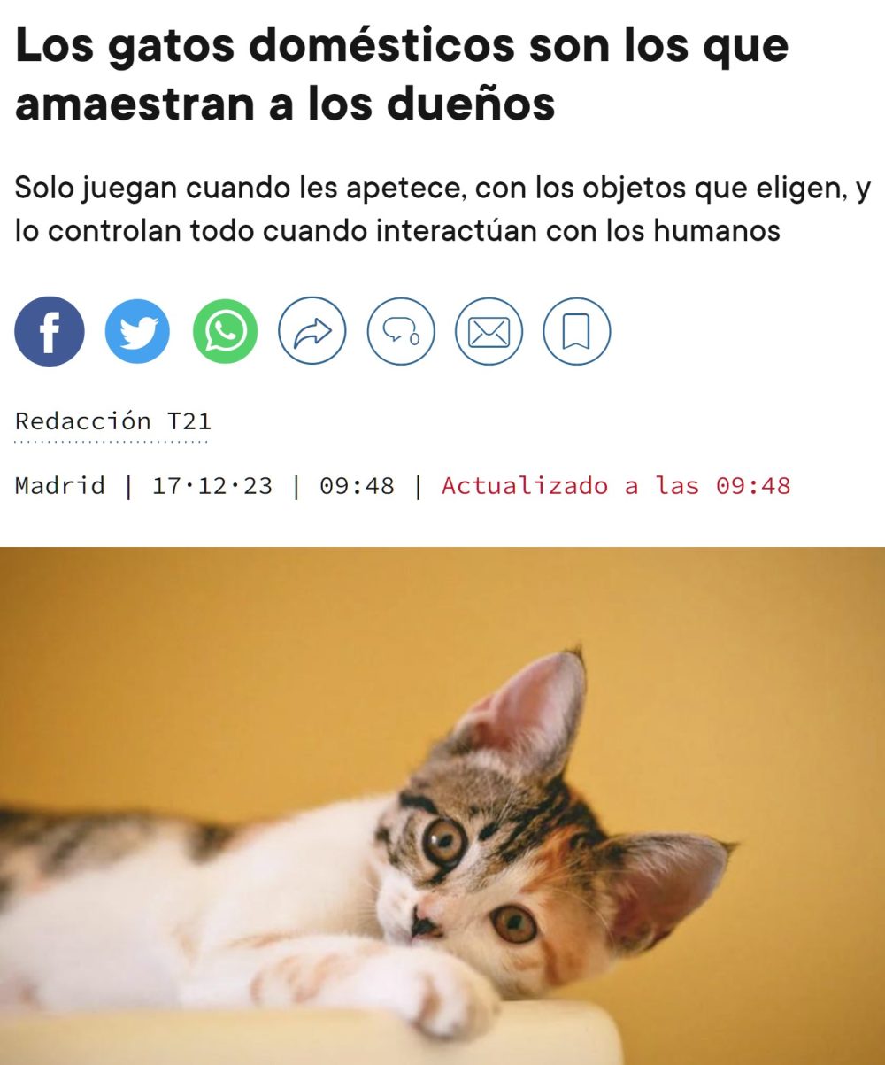 ¿Gatos domesticados? No exactamente. Ellos nos amaestran a nosotros.