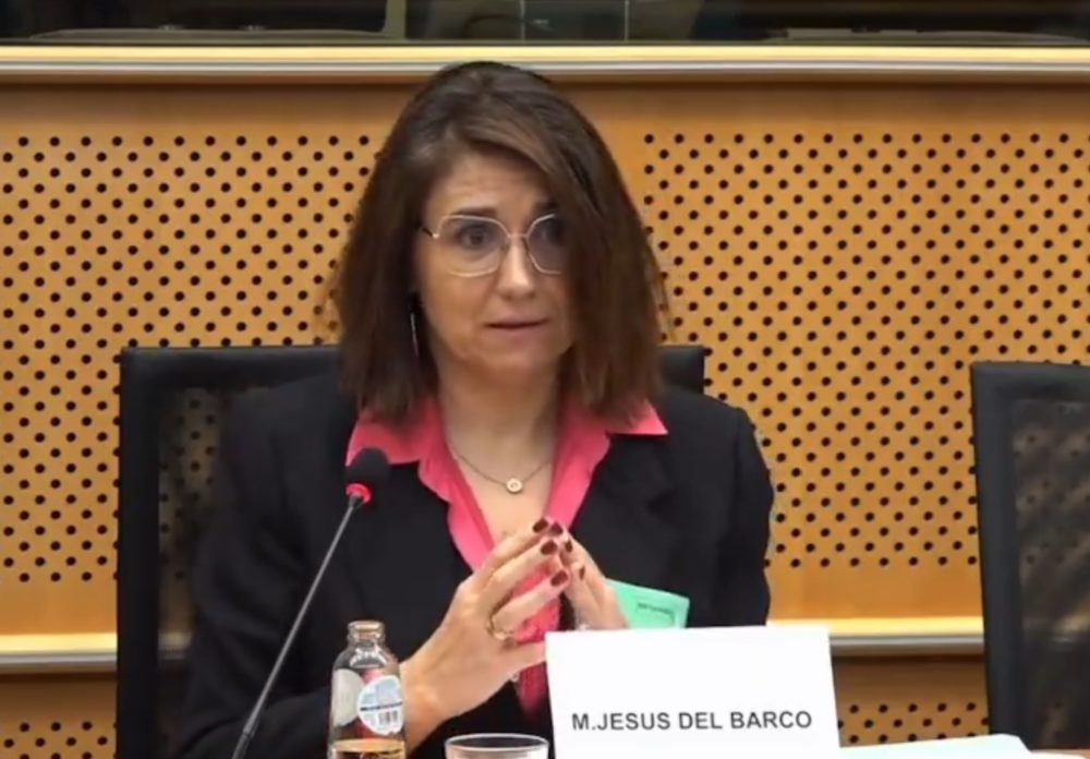 María Jesús del Barco, Presidenta de la Asociación Mayoritaria de Jueces, detalla en 9 minutos por qué la ley de amnistía no es constitucional.