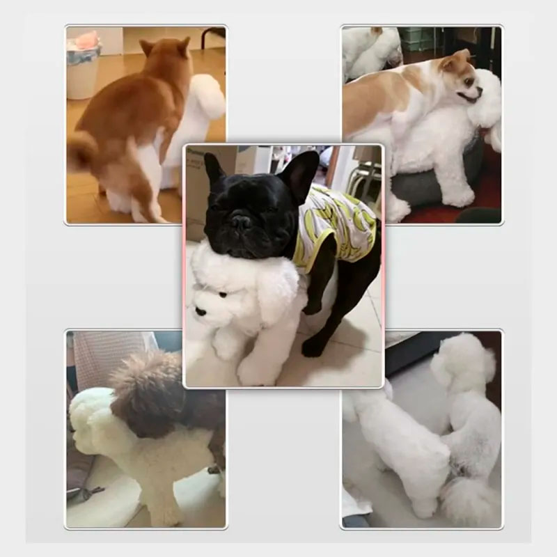 Perra de silicona para perros insaciables