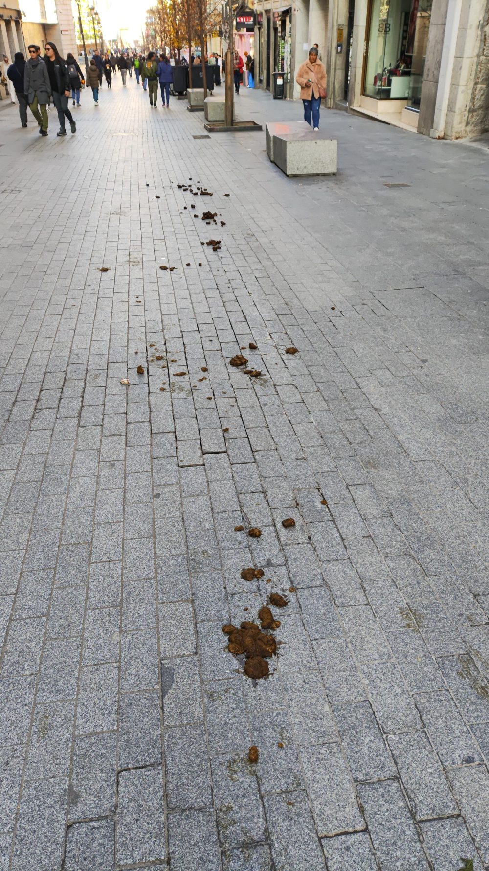 No recoger el zorullo de tu perro, 500 euros. Ser policía montada, no tiene precio...