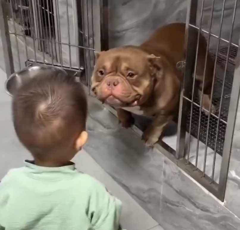 Ese momento en el que ves por primera vez al que será tu mejor amigo hasta que la muеrte os separe