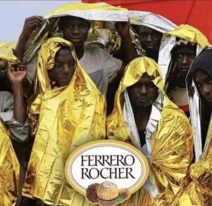 Meme tan negro que Angelina Jolie se interesó en adoptarlo