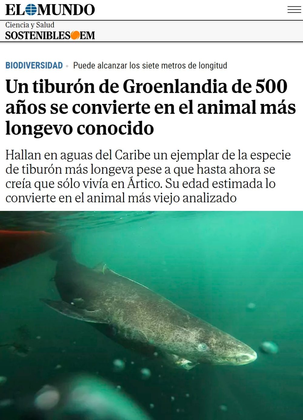 Un tiburón de Groenlandia es reconocido como el animal más viejo del mundo