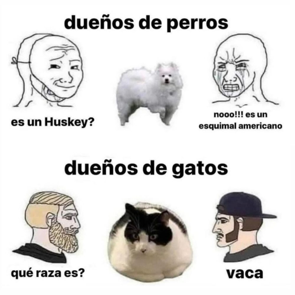 Dueños de perros vs dueños de gatos