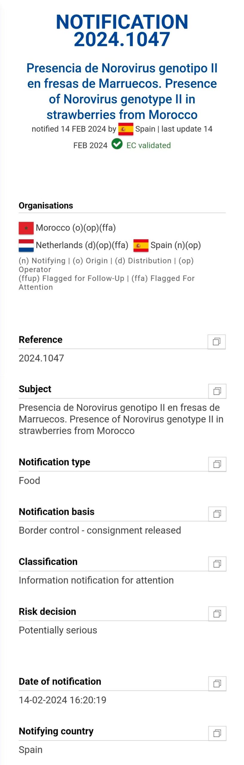 Detectan presencia de Norovirus en fresas provenientes de Marruecos