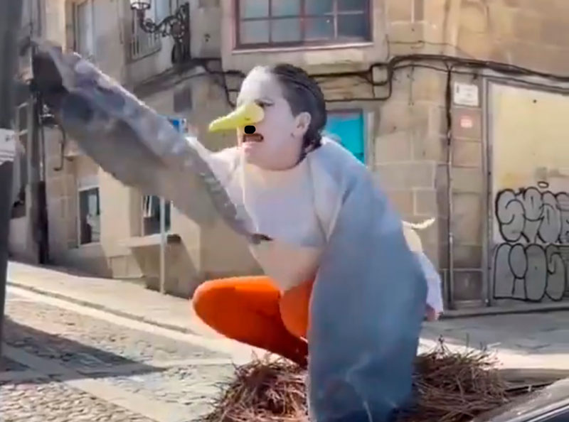 2024: Una mujer que se autopercibe como gaviota anida sobre el capó de un coche.