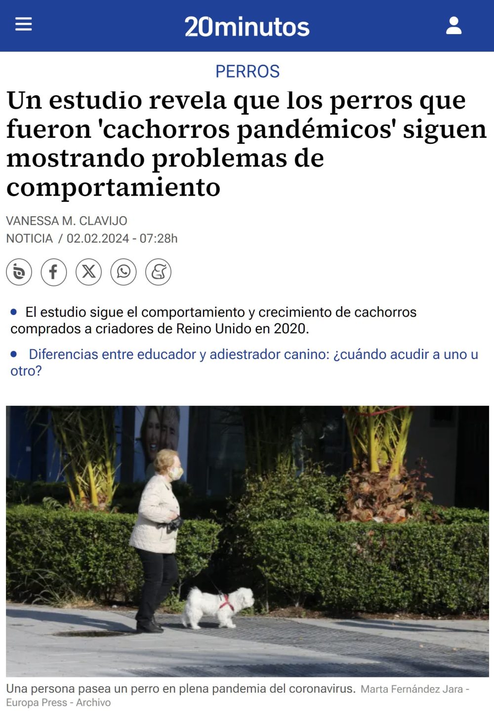 Los perros que fueron cachorros durante la pandemia siguen mostrando problemas de comportamiento