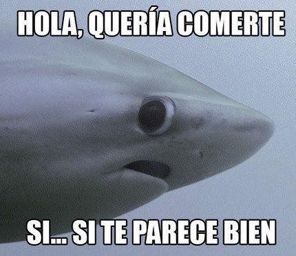 Terrorífico ataque de un tiburón a un buzo.