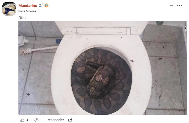 Fotos para usar cuando queráis faltar al trabajo