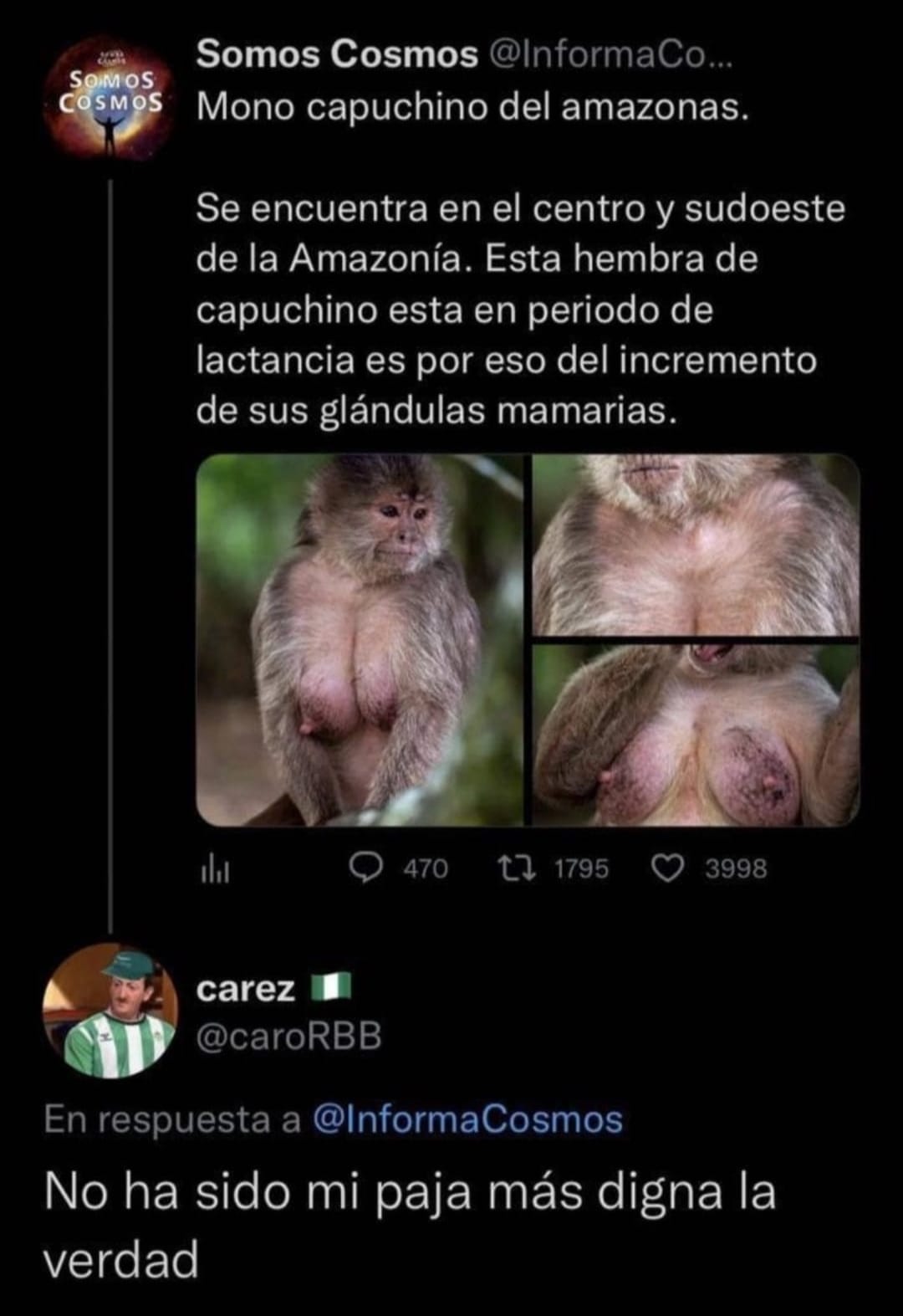 En peores plazas hemos toreao...