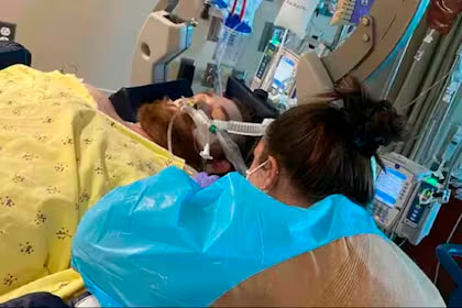 Un hombre de Texas queda en coma con un 4% de esperanza de vida por sacarse un pelo encarnado en la ingle.