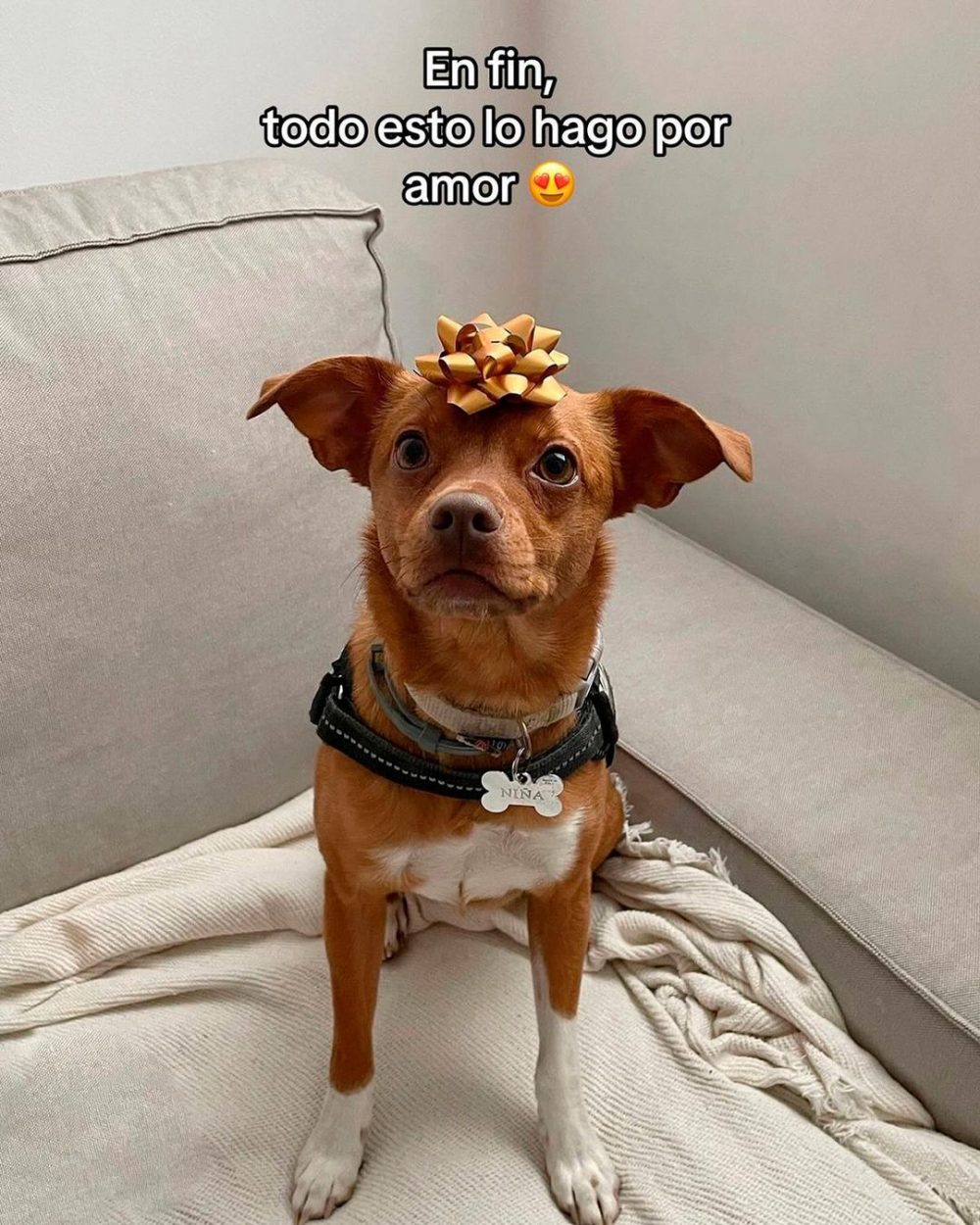 El verdadero amor es esto.
