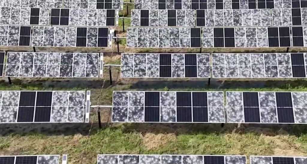 Un temporal de granizo destruye 1.600 hectáreas de paneles solares en Texas.