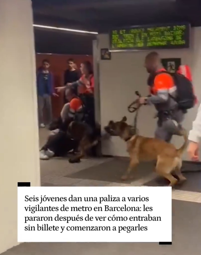 Pelea en el metro de Barcelona: un grupo de hombres pega una paIiza a varios vigilantes de seguridad.