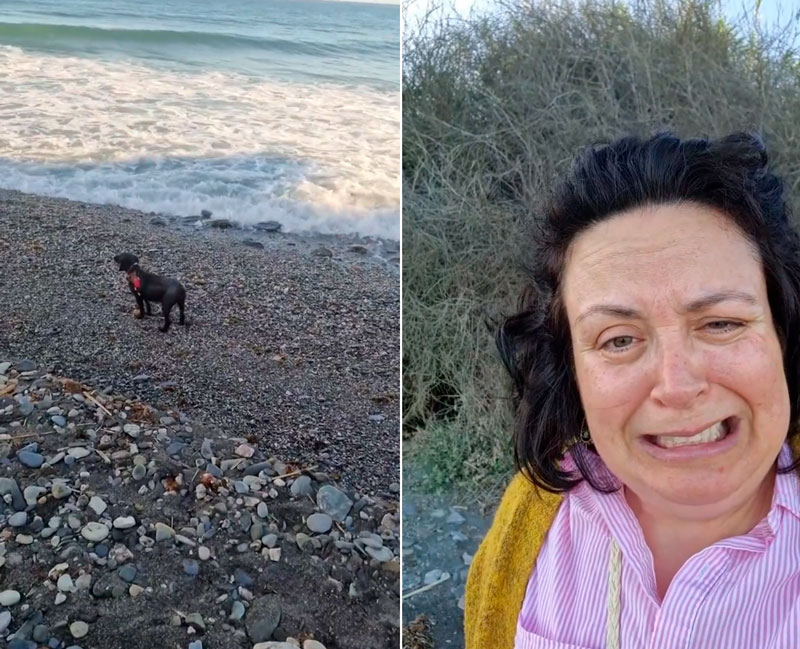 Sale a pasear a su perro por la playa y vuelve a casa con un marrón.